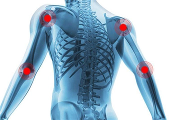 Eklemler Özellikleri ve Faydaları Nelerdir?